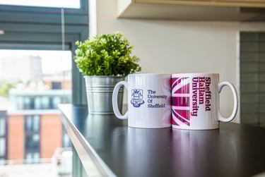 4 bed flat, 8 Portland Lane, Central, Sheffield, S14DG - Image 7